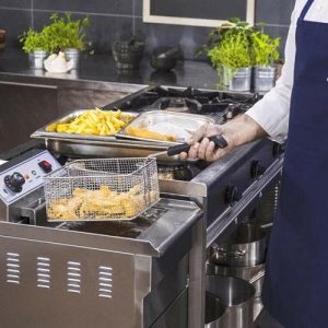 Friteuse professionnelle